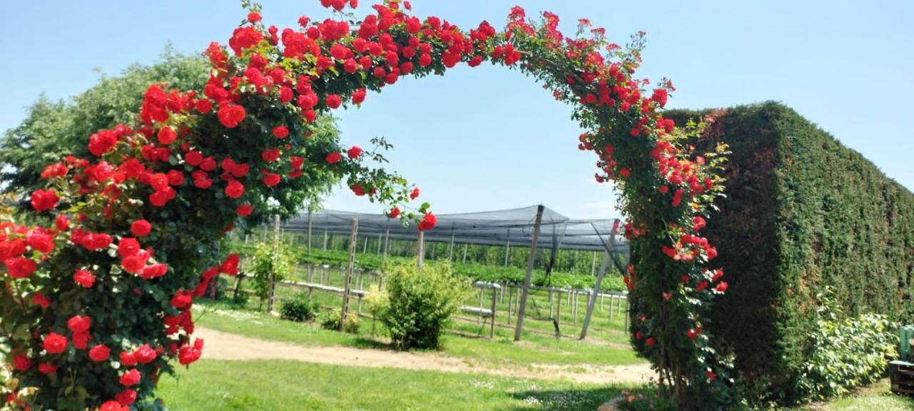 Agriturismo Fondo Novelle La Casina Ferrara Dış mekan fotoğraf