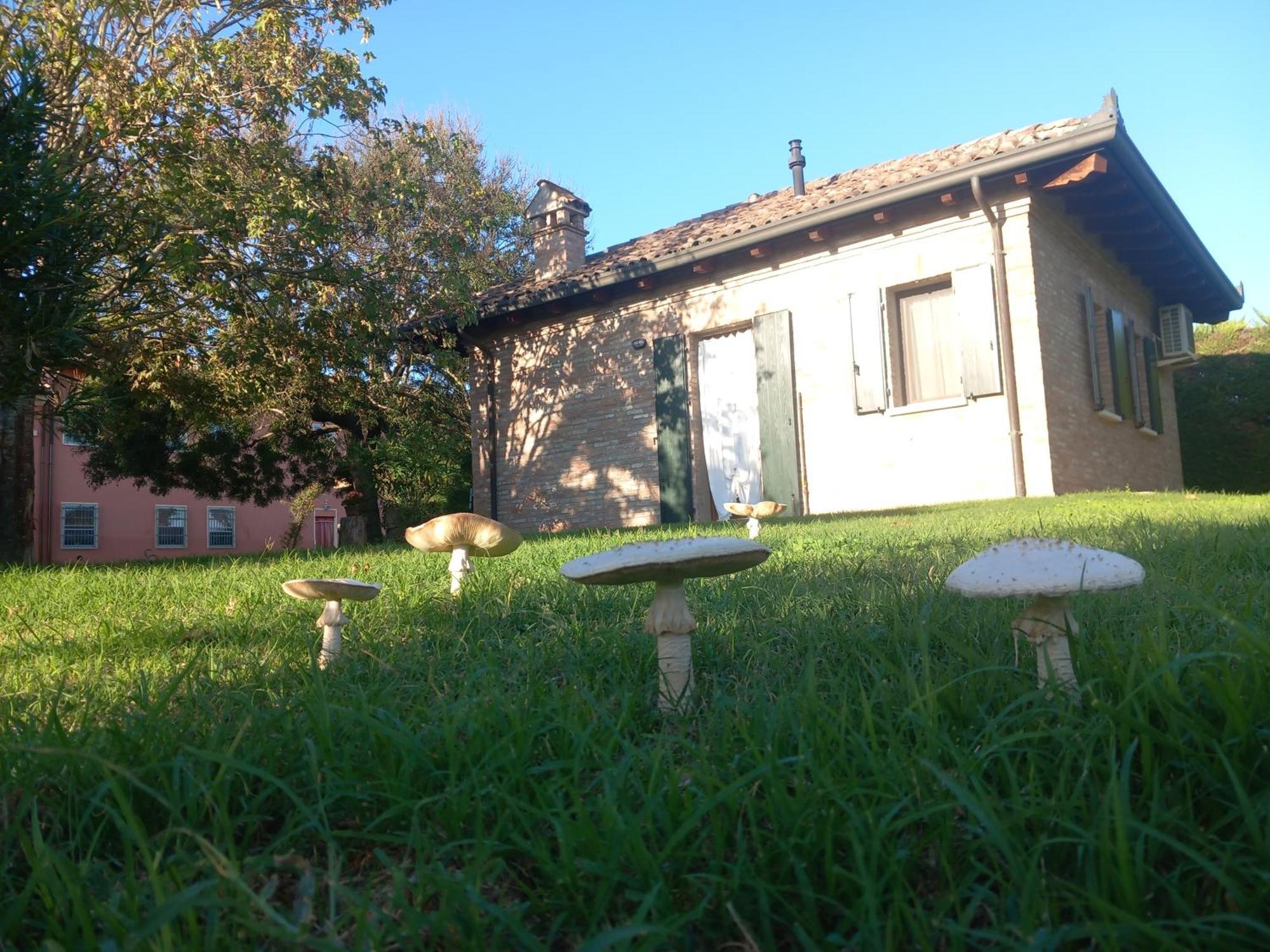 Agriturismo Fondo Novelle La Casina Ferrara Dış mekan fotoğraf