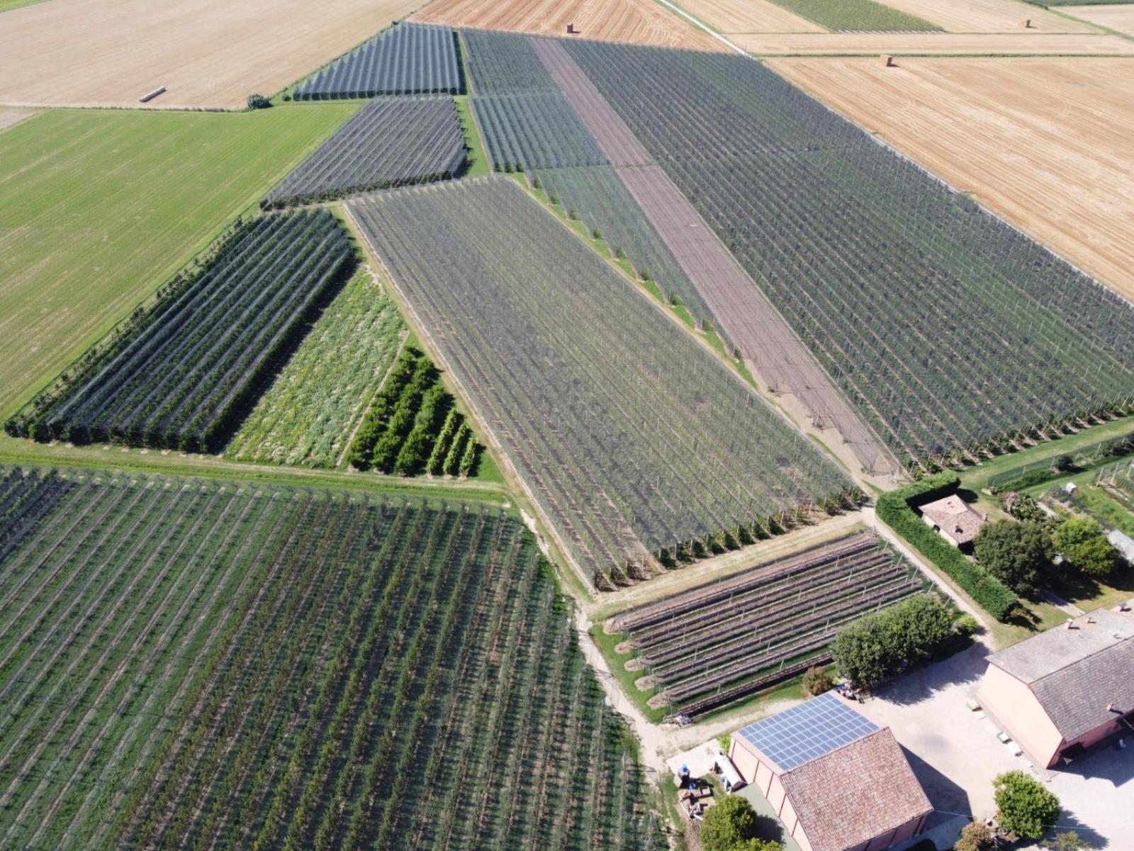 Agriturismo Fondo Novelle La Casina Ferrara Dış mekan fotoğraf