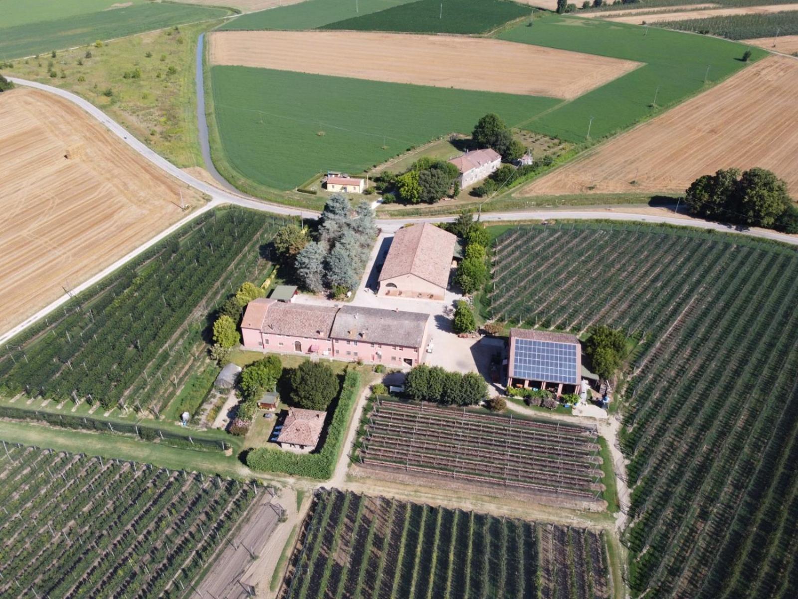 Agriturismo Fondo Novelle La Casina Ferrara Dış mekan fotoğraf